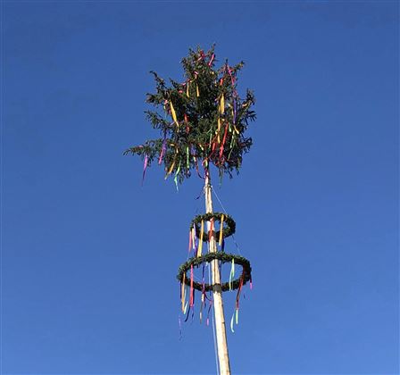 Maibaum