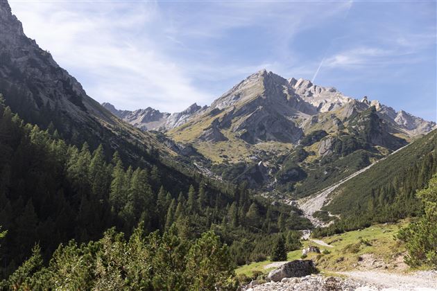 Muttekopf