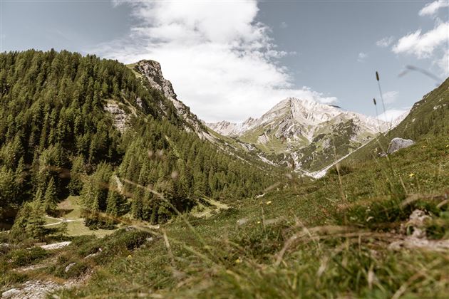 Natur