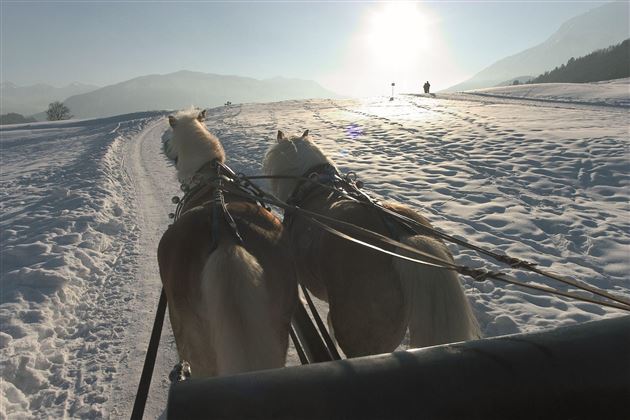 Pferdeschlittenfahrt