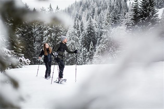 Schneeschuhwanderung