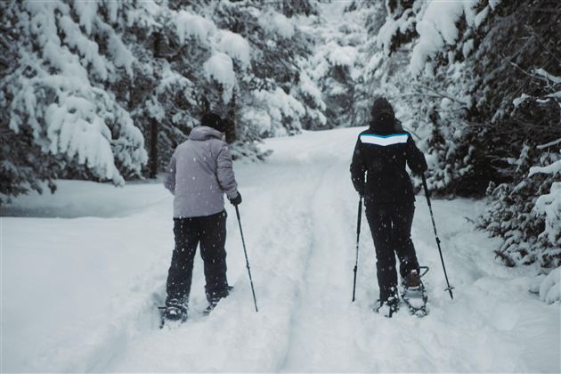 Schneeschuhwanderung Hoch-Imst