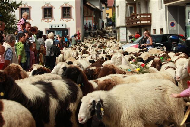 Tarrenz Schafschied
