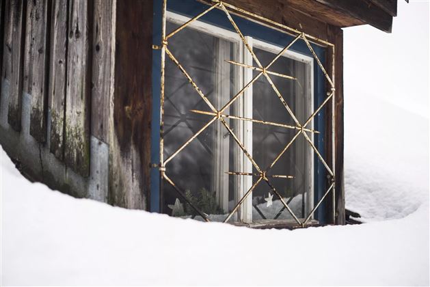Winter