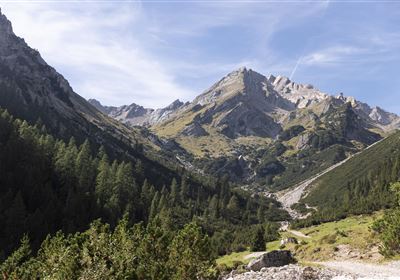 Muttekopf