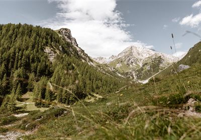 Natur