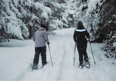 Schneeschuhwanderung Hoch-Imst