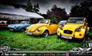 6. Käfer und Oldtimertreffen