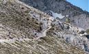 Tschirgant Sky Run (2)