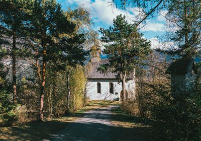 Bergl