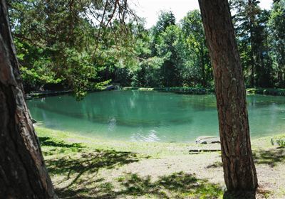 Natursee