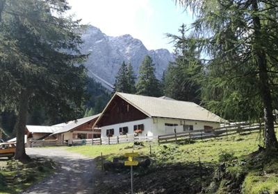 Tarrenton Alm
