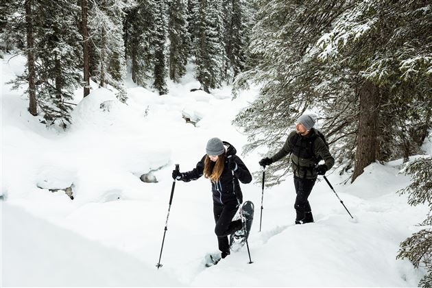 Schneeschuhwanderung