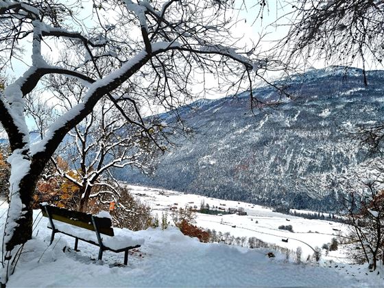Starkenberger Panoramaweg