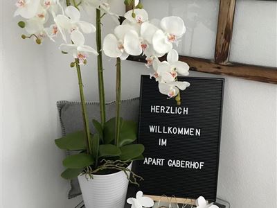 Apartment, shower, toilet, balcony