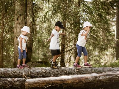 Children's Folktale Walk