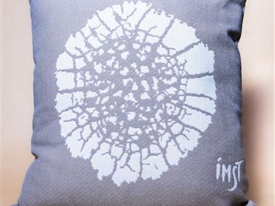 Imst cushion "lichen"