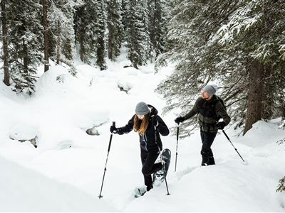 Schneeschuhwanderung