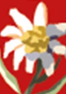 Hiking stick badge Edelweiss