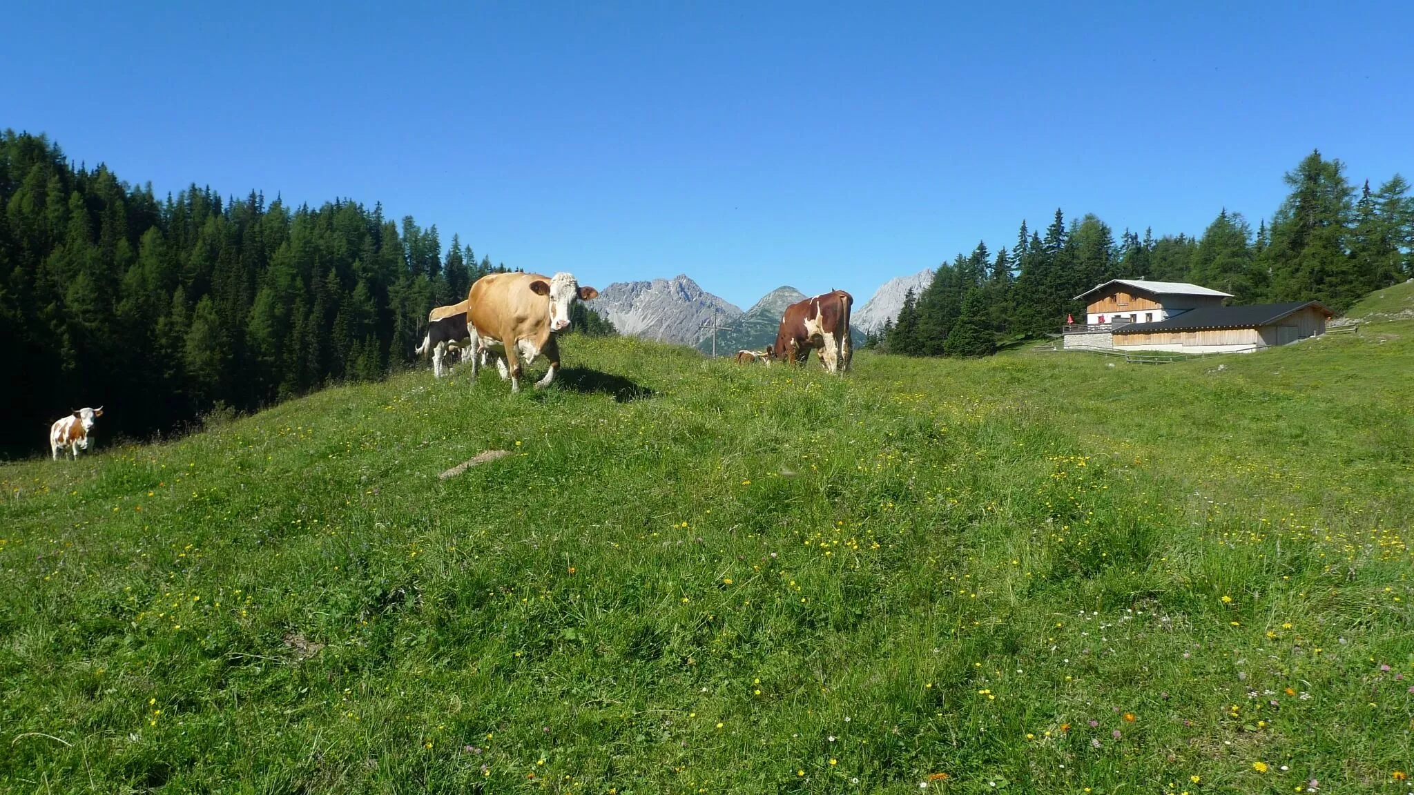 Marienbergjoch