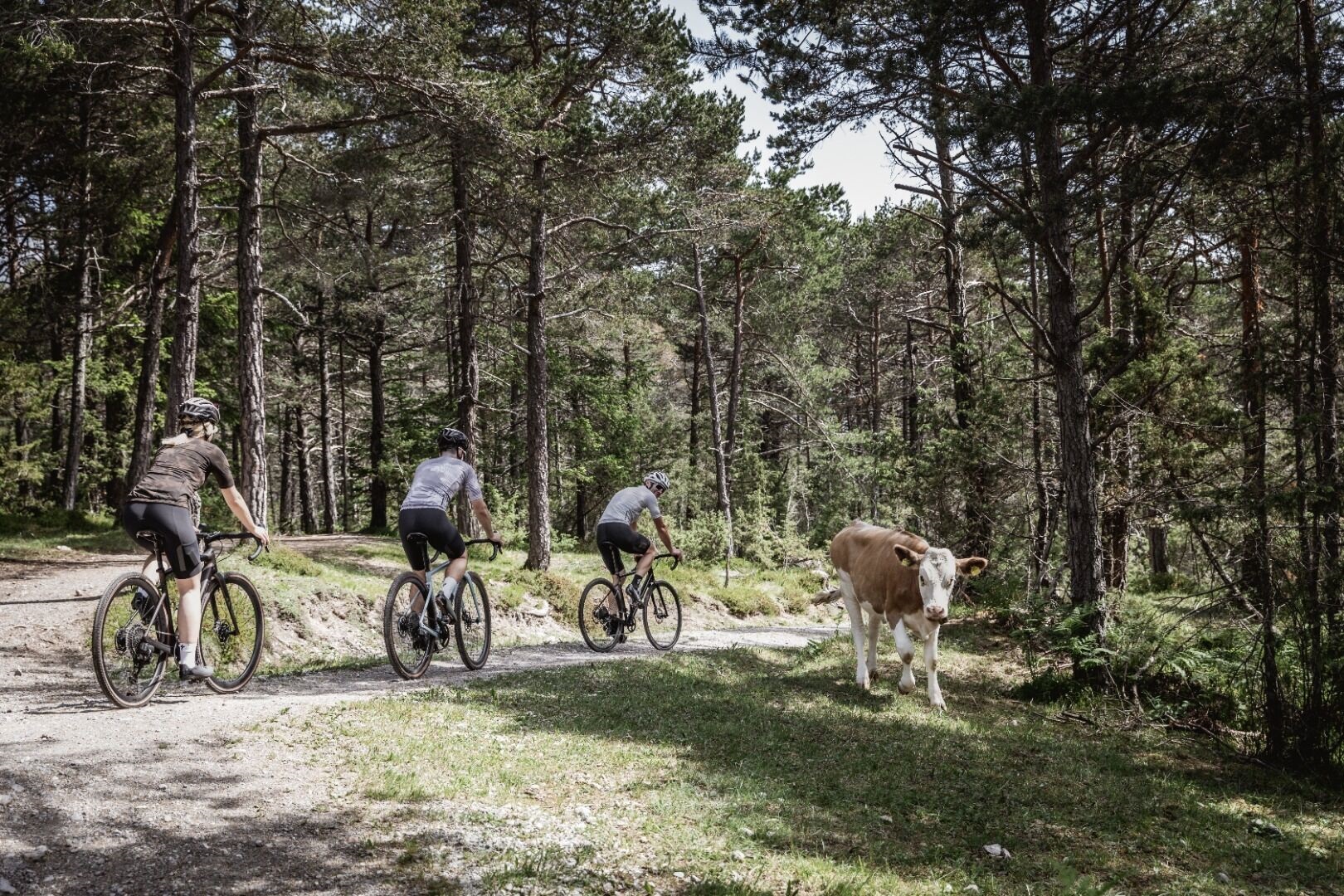 Gravelrunde Piburger See