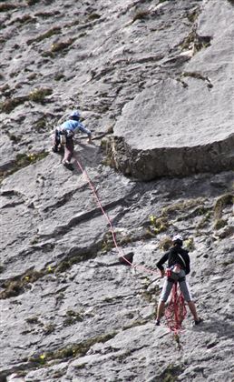 20090418_bgf-2009_0007_01.jpg