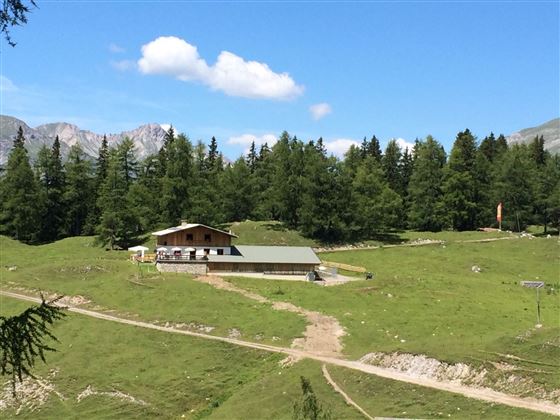 2014-Nassereith-Nassereither Alm (Muthenaualm)-Natur-©Unbekannt (21).JPG