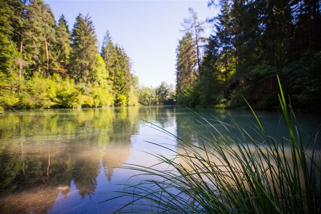 2015-Schwimmen & Tauchen-Starkenberger See-Tarrenz-©Unbekannt (5).jpg