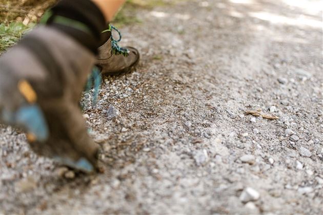 2018-Wandern-Hoch-Imst-Almzoo-Latschenhütte-web-©Rudi Wyhlidal (13).jpg
