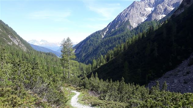 20190624_163412.jpg