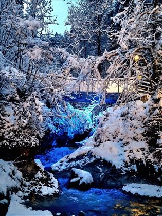 20231125_071323.jpg