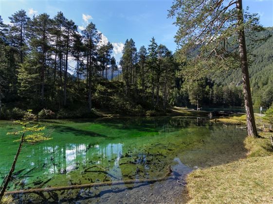 Fernsteinsee-1-2.jpg