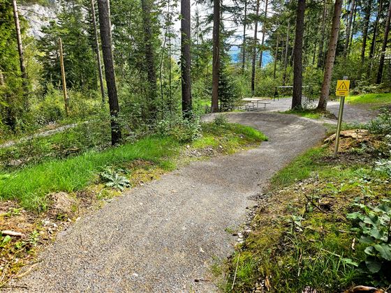 Flitz Kids Trail -Flitz Family Trail Wald