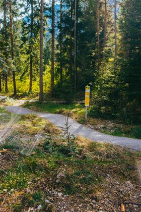 2025-veranstaltungen-flitz_family_trail_wald-preshootingimst_tourismus-11.jpg