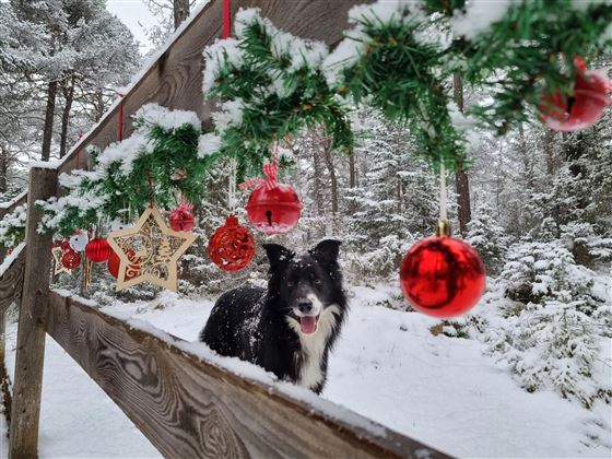 Foto Christkindlweg.jpg