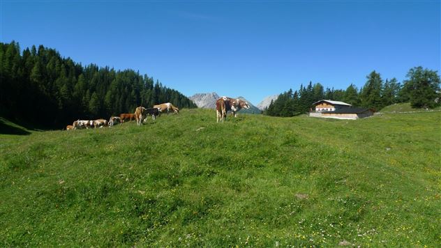 Muthenaualm.JPG