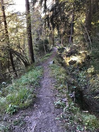 Oberfeldwaal Roppen 1.gpx.jpg