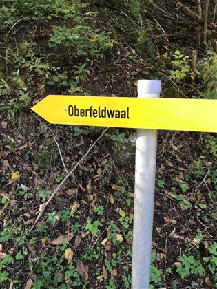 Oberfeldwaal Roppen 3.gpx.jpg