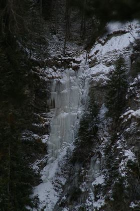 salvesenfall1.jpg