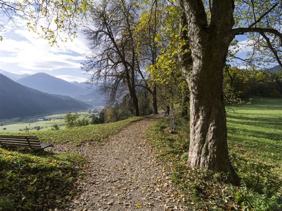 starkenberger_panoramaweg_etappe_4 (1).jpg