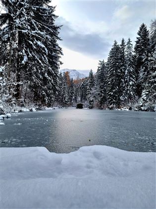 Starkenbergersee (4).jpg