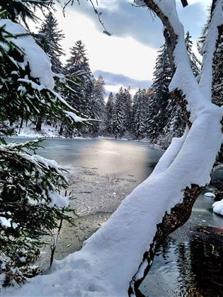 Starkenbergersee (6).jpg
