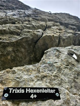 Trixis Hexenleiter.jpg