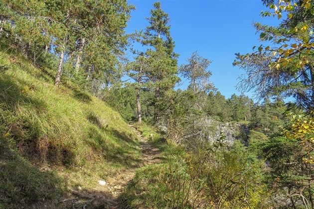 WF_Imst_T06_IMG_02_6185_Plott.jpg