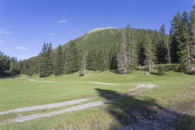 WF_Imst_T20_IMG_01_7811_Durner.jpg