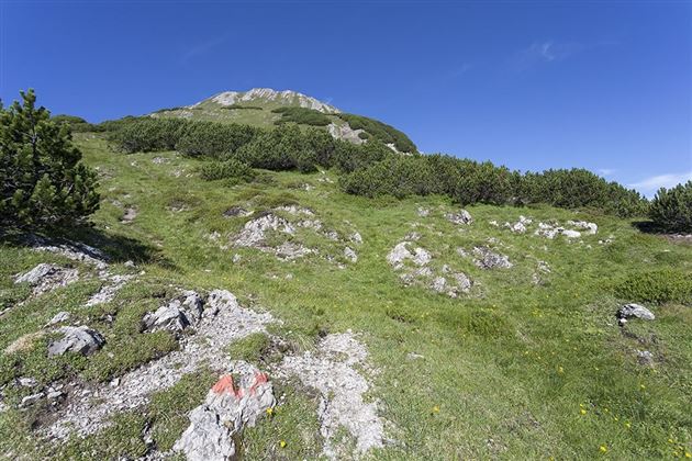 WF_Imst_T20_IMG_03_7865_Durner.jpg
