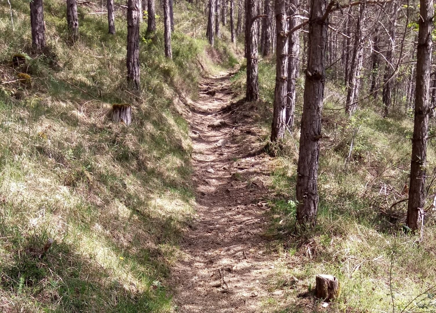 Milsbergsteig