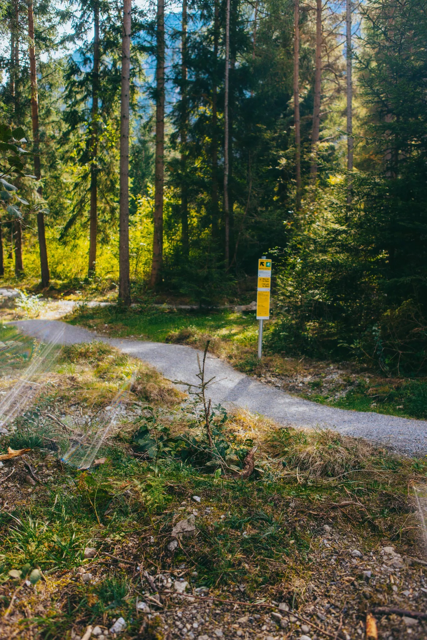 Flitz Up Trail