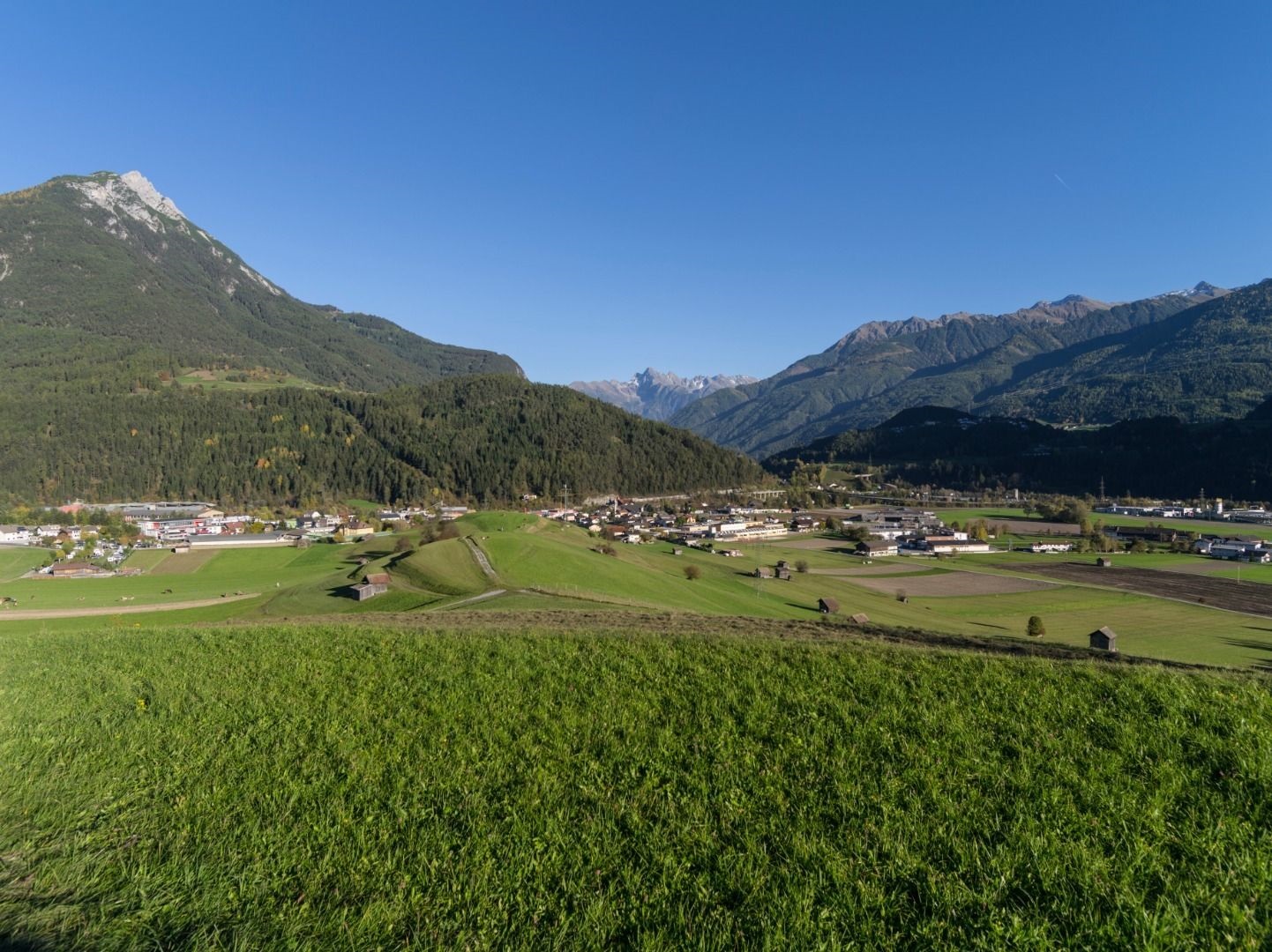 Gunglgrün