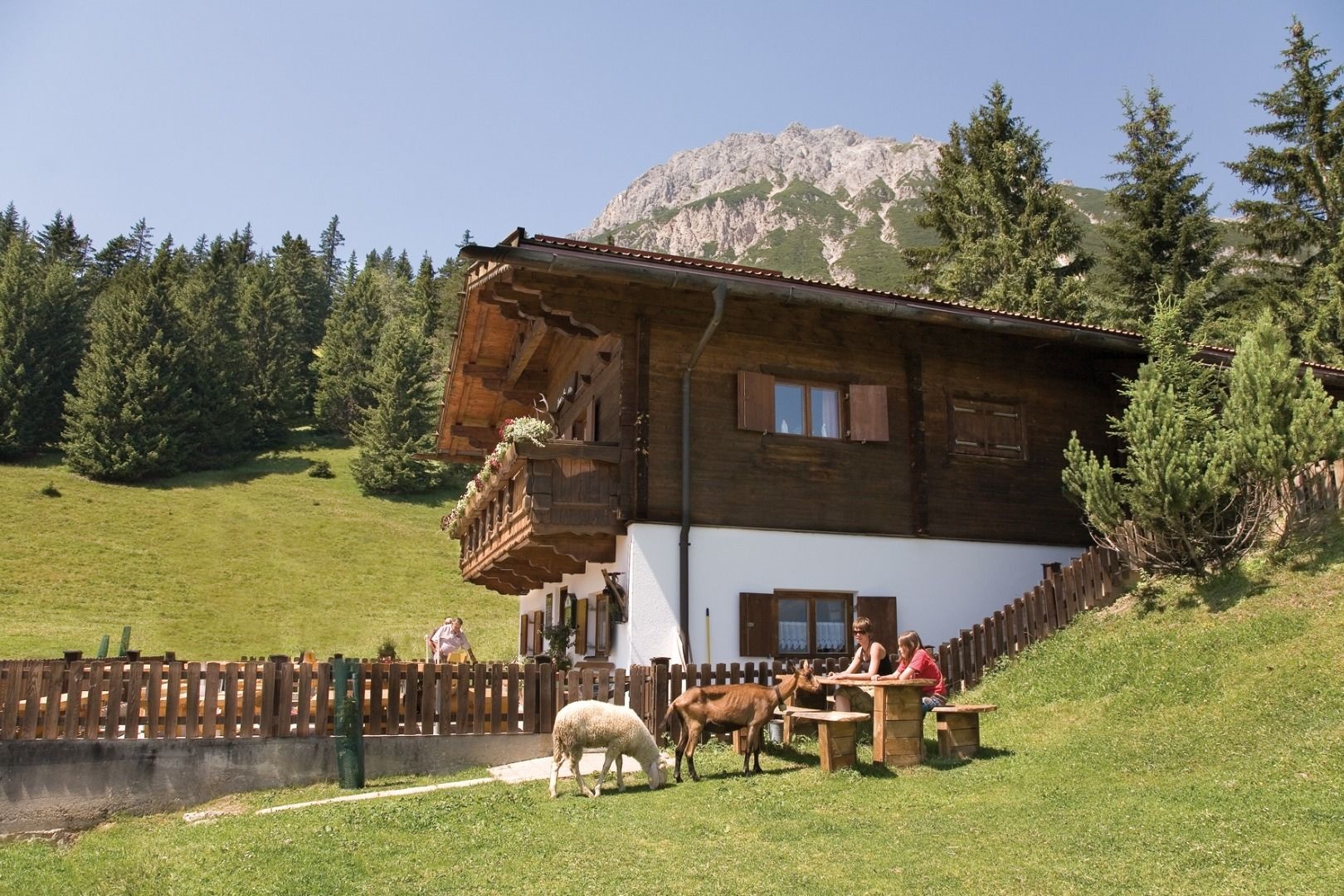Karrer Alm / Tschirgant